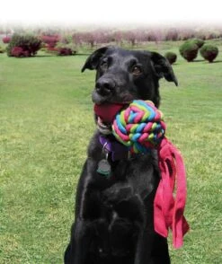 Kong Wubba Weaves Assorti -Dierenwinkel 0035585800899 75 89 met hond