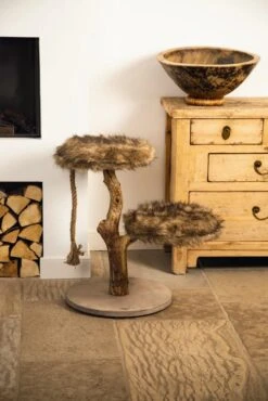 Designed By Lotte Krabpaal Aviva -Dierenwinkel 0408865 sfeer1