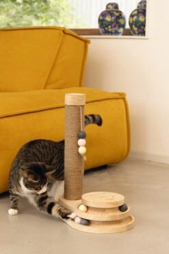 Designed By Lotte Krabpaal Inez -Dierenwinkel 0409150 sfeer1