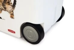 Curver Voedselcontainer Kat 35 Ltr -Dierenwinkel 0412026 det5