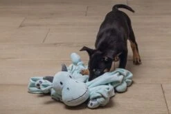 Beeztees Puppy Knuffeldoek Draak M 9 Beeztees Puppy Knuffeldoek Draak M -Dierenwinkel 0619493 sfeer3