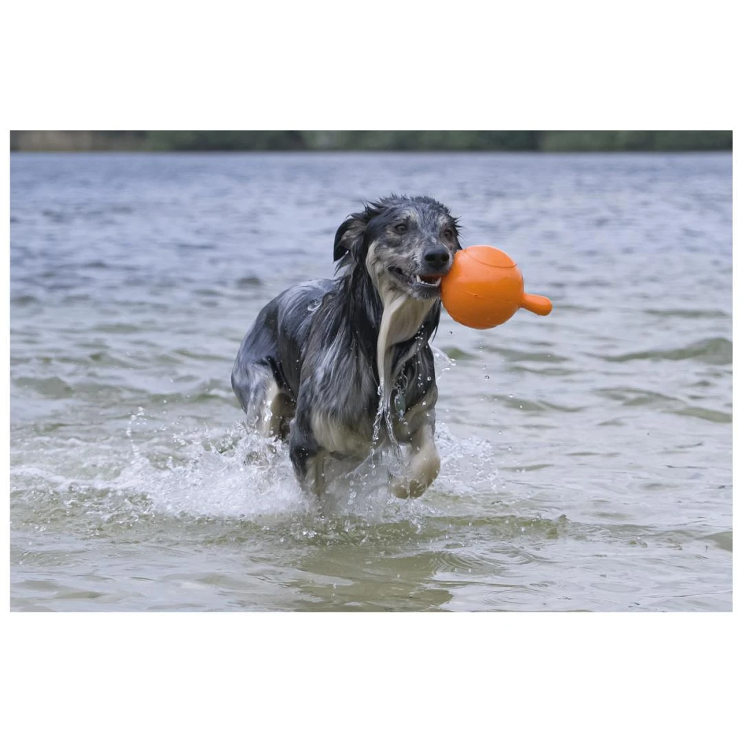 Beeztees Apportino Bal 4 Beeztees Apportino Bal - Afbeelding 2