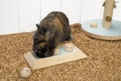 Beeztees Braingame Ballira Mint -Dierenwinkel 0811115 sfeer1