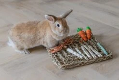 Beeztees Knaagdierspeelmat Nature -Dierenwinkel 0811182 sfeer2