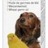 Beaphar Vitamine E Tarwekiemolie 100 Ml -Dierenwinkel 11218