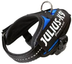 Julius K9 IDC Powerharness Blue
