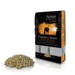 Action Quality Condition & Muscle Bigbox 100 Kg