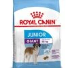 Royal Canin Hondenvoer Giant Junior 15 Kg -Dierenwinkel 3182550707077