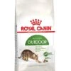 Royal Canin Kattenvoer Outdoor 2 Kg 2 Royal Canin Kattenvoer Outdoor 2 Kg -Dierenwinkel 3182550707374