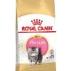Royal Canin Kattenvoer Persian Kitten 2 Kg -Dierenwinkel 3182550721219