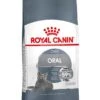 Royal Canin Kattenvoer Oral Care 3,5 Kg 2 Royal Canin Kattenvoer Oral Care 3,5 Kg -Dierenwinkel 3182550721615