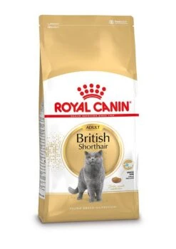 Royal Canin Kattenvoer British Shorthair Adult 4 Kg