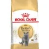 Royal Canin Kattenvoer British Shorthair Adult 10 Kg -Dierenwinkel 3182550756464