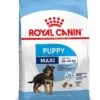 Royal Canin Hondenvoer Maxi Puppy 10 Kg -Dierenwinkel 3182550778305