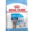 Royal Canin Hondenvoer Maxi Puppy Active 15 Kg 2 Royal Canin Hondenvoer Maxi Puppy Active 15 Kg -Dierenwinkel 3182550778619