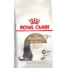 Royal Canin Kattenvoer Ageing Sterilised 12+4 Kg -Dierenwinkel 3182550805407