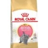 Royal Canin Kattenvoer British Shorthair Kitten 10 Kg -Dierenwinkel 3182550816540