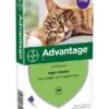 Advantage Kat 80 4 Pipetten -Dierenwinkel 4007221047421