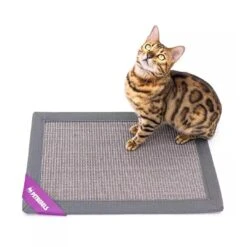 Petrebels Mastermat 60 Grey