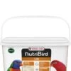 Versele-Laga NutriBird Lori 3 Kg -Dierenwinkel 5410340221235