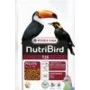 Versele-Laga NutriBird T16 2 Kg -Dierenwinkel 5410340221341