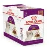 Royal Canin Kattenvoer Sensory Smell In Gravy 12 X 85 Gr -Dierenwinkel 578816