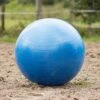 QHP Paardenvoetbal Blauw 80 - 100 Cm -Dierenwinkel 8005bl 2 1