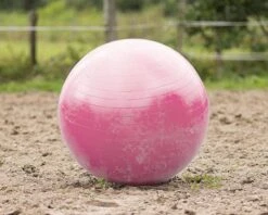 QHP Paardenvoetbal Roze 80 - 100 Cm