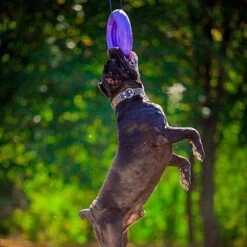 Ferplast Puller Maxi -Dierenwinkel 8010690183046 9.9