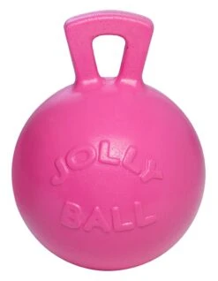 Jolly Ball Met Geur 25 Cm -Dierenwinkel 8170