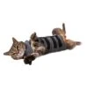 Thundershirt Kat -Dierenwinkel 854880001608 thundershirt kat