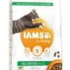 IAMS Kattenvoer Adult Lamb 10 Kg -Dierenwinkel 8710255127200 2