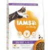 IAMS Kattenvoer Kitten Chicken 10 Kg 1 IAMS Kattenvoer Kitten Chicken 10 Kg -Dierenwinkel 8710255127736 2