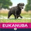 Eukanuba Hondenvoer Caring Senior Large Breed 12 Kg -Dierenwinkel 8710255146041