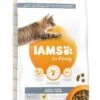 IAMS Kattenvoer Adult Indoor Chicken 10 Kg -Dierenwinkel 8710255150451 2