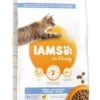 IAMS Kattenvoer Adult Dental Chicken 10 Kg -Dierenwinkel 8710255150505 2