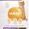 IAMS Kattenvoer Kitten Ocean Fish 10 Kg -Dierenwinkel 8710255188447