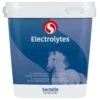 Sectolin Equivital Electrolyten 3 Kg -Dierenwinkel 8715122110552