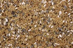 Grote Parkiet - Valkparkiet 20 Kg -Dierenwinkel 8715207100218 2