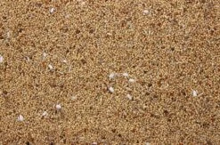 Parkietenzaad 20 Kg 7 Parkietenzaad 20 Kg -Dierenwinkel 8715207100416 2