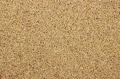 Milletzaad Wit 20 Kg -Dierenwinkel 8715207101130 2