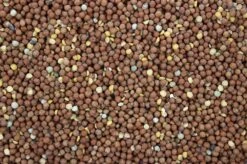 Maple Peas 20 Kg -Dierenwinkel 8715207101574 2