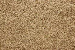 Haver Gepeld 20 Kg -Dierenwinkel 8715207102410 2