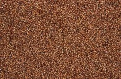 Dari Rood 20 Kg -Dierenwinkel 8715207201328 2