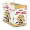Royal Canin Kattenvoer Maine Coon Adult 12 X 85 Gr -Dierenwinkel 9003579001202