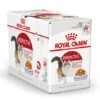 Royal Canin Kattenvoer Instinctive In Jelly 12 X 85 Gr -Dierenwinkel 9003579309544