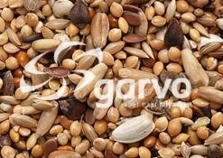 Garvo Agapornidenzaad 20 Kg -Dierenwinkel 9111 agapornidenzaad