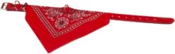 Boon Halsband Met Zakdoek Rood -Dierenwinkel 9600182a