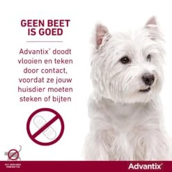 Advantix 100 4 Pipetten -Dierenwinkel Advantix geenbeetisgoed