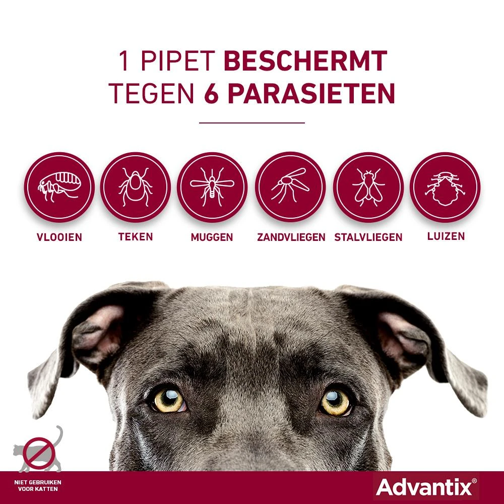 Advantix 250 4 Pipetten 5 Advantix 250 4 Pipetten - Afbeelding 3